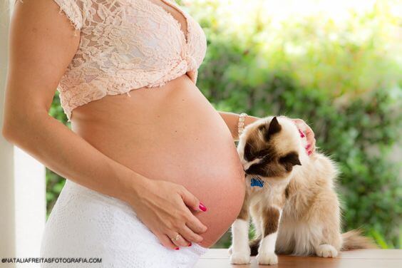 Mitos sobre los gatos y las mujeres embarazadas