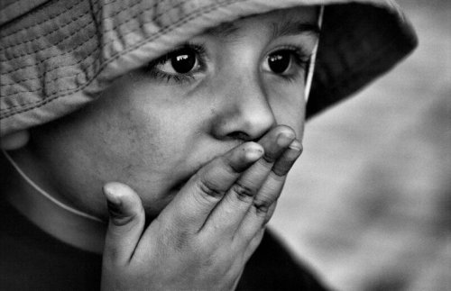 29ec7fedeb5683ec342a45d242ad60e6