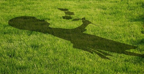 Lo que la naturaleza le enseña a tu hijo