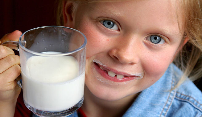La leche y sus derivados: alimentos súper nutritivos