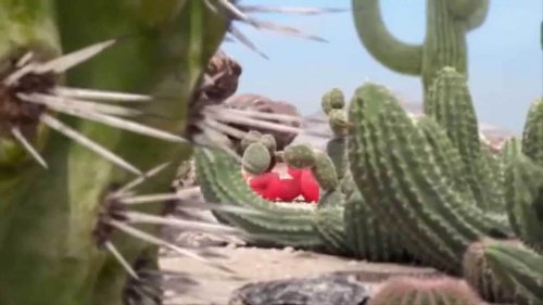 corto mundo de alfileres