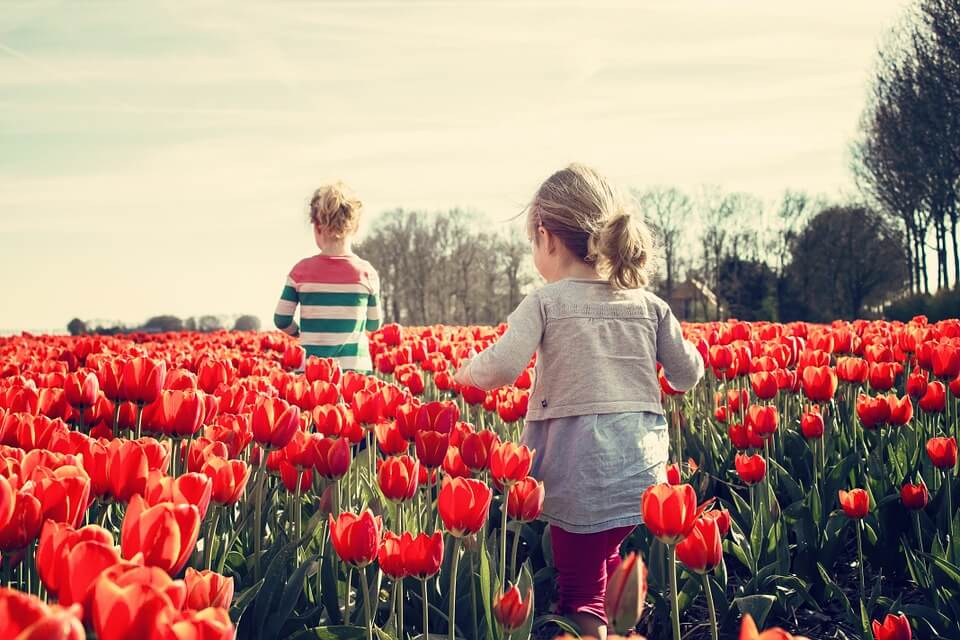 Deux jeunes filles dans un champ de tulipes;