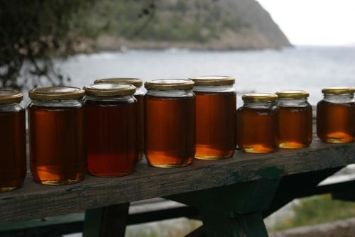 miel 3