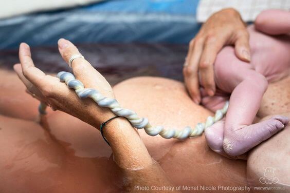 En el cordón umbilical está el secreto de la vida