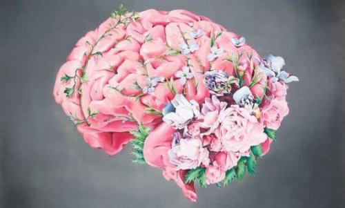 cerebro-flores