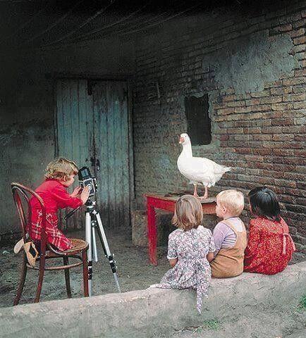 Deja que tus hijos tengan sus propios sueños