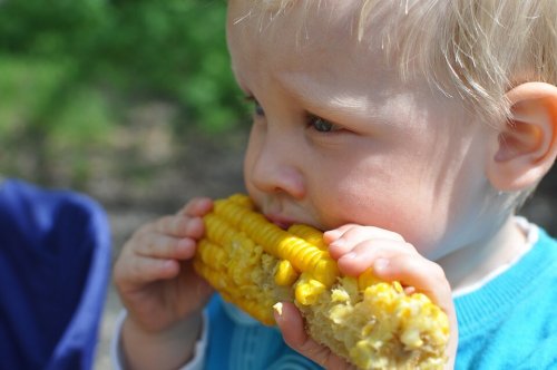 ¿Se pueden curar o prevenir alergias o intolerancias alimenticias en los niños?