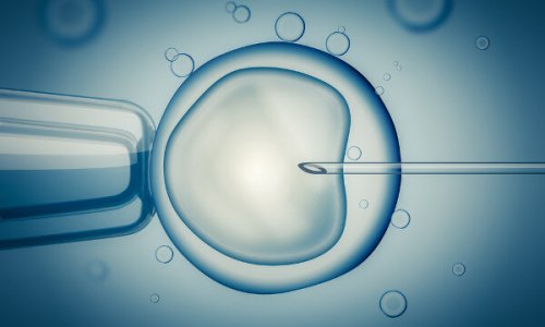 fecundación in vitro