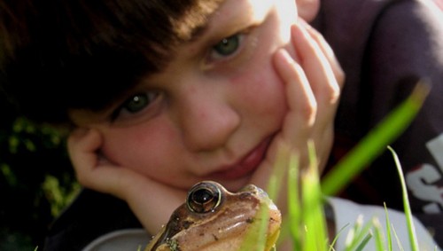 Enseña a tu niño la importancia de observar