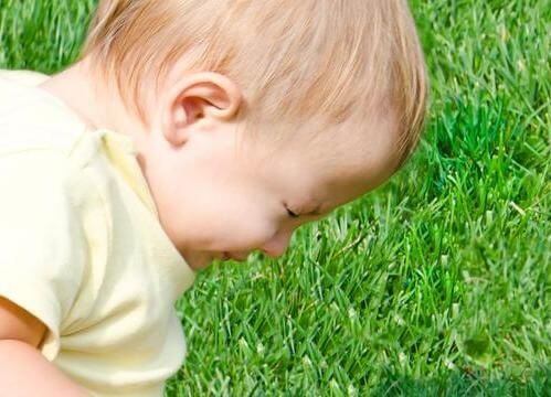 Un enfant qui éternue dans l'herbe.