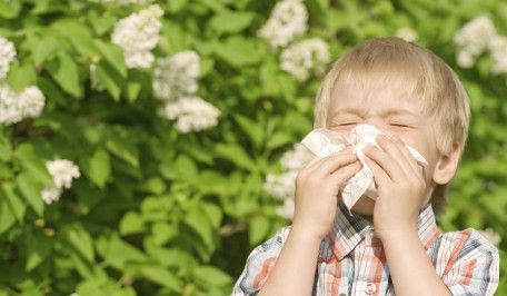 rinite allergica 2