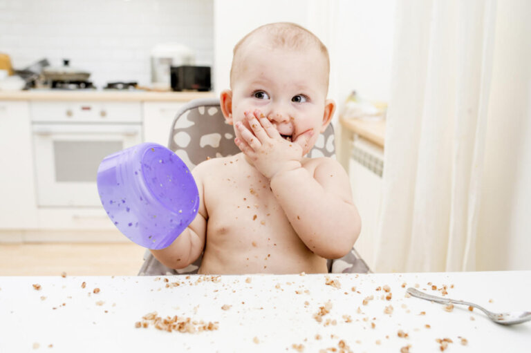 Consejos para dejar atrás la comida triturada