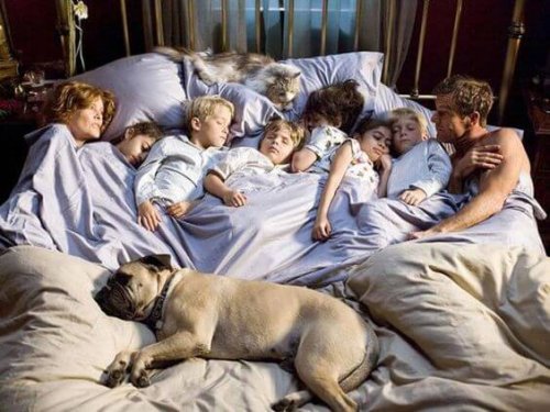 610d33d9d8009d75db1aa65254d70656