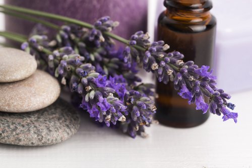 El aceite de lavanda ayuda a combatir la caspa.