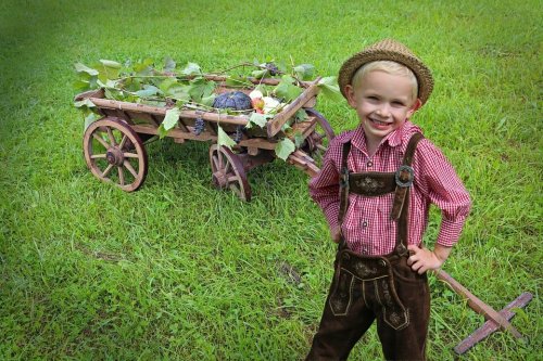 Cómo hacer con tus hijos un huerto ecológico