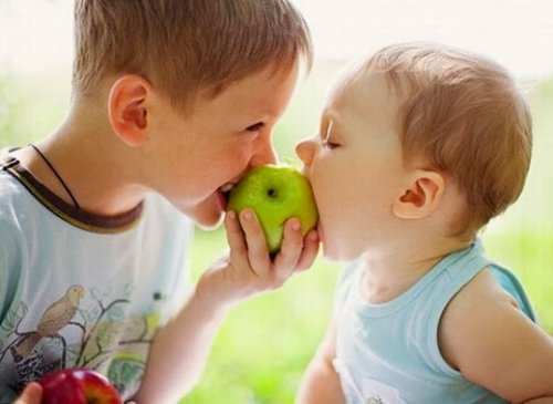 Alimentos que fortalecen el sistema inmunológico