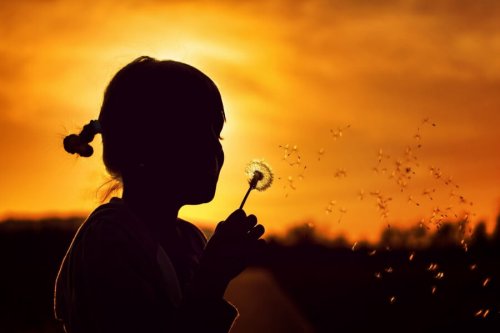 niña diente de león