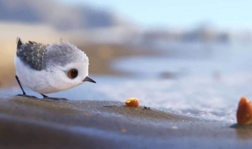 piper corto pixar sobre los miedos