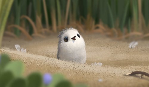 piper corto pixar