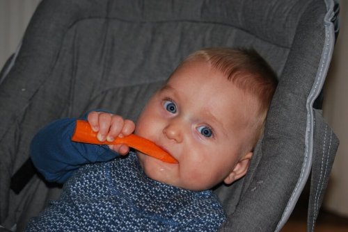 baby-215321_960_720