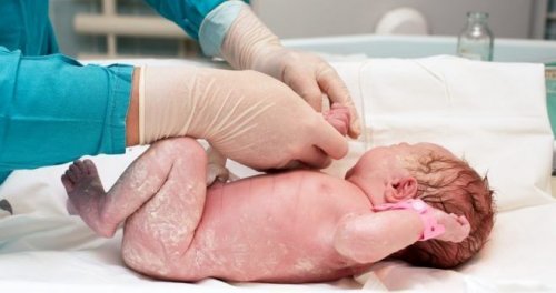 ¿En qué consiste la técnica de la siembra vaginal?