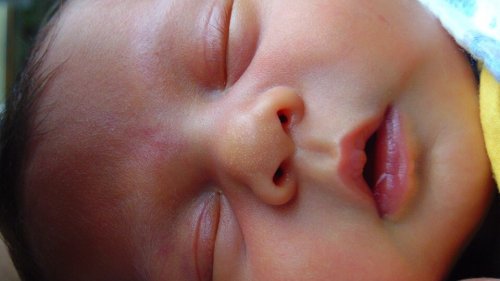 sleeping-392897_960_720