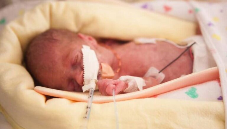 La zona gris gestacional, el delicado límite de los bebés prematuros