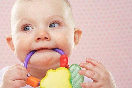 Baby chewing on baby toy --- Image by © Heide Benser/Corbis