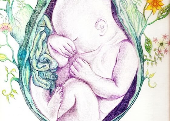 embarazo patadas bebes que salvan vidas