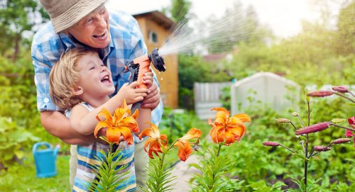 Los niños pueden involucrarse y divertirse con la idea de tener una planta de semillas en casa.
