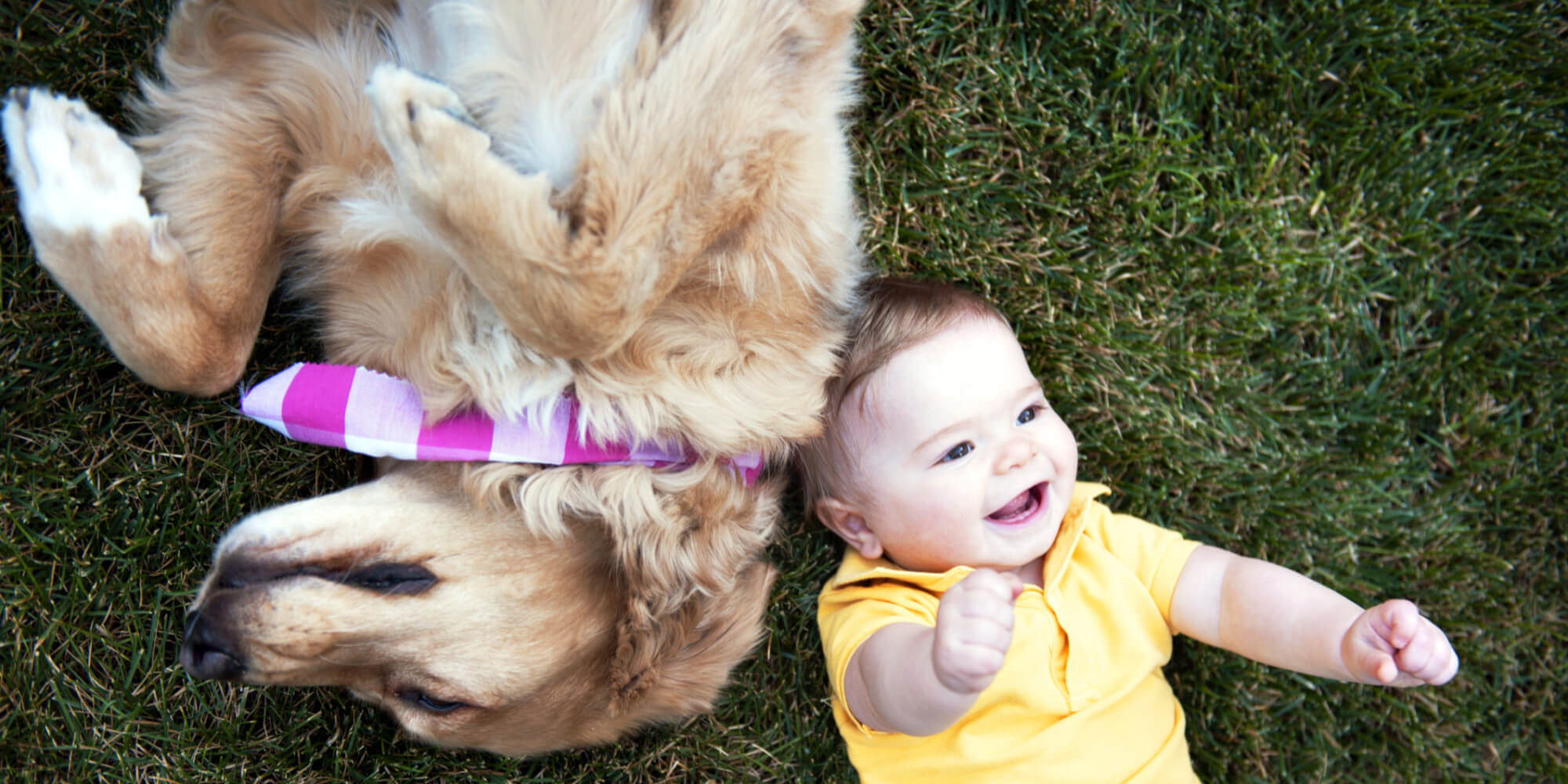 o-dog-and-baby-facebook