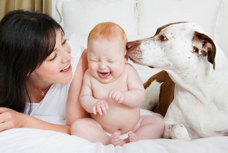 Cómo potenciar el vínculo de tu perro con tu bebé