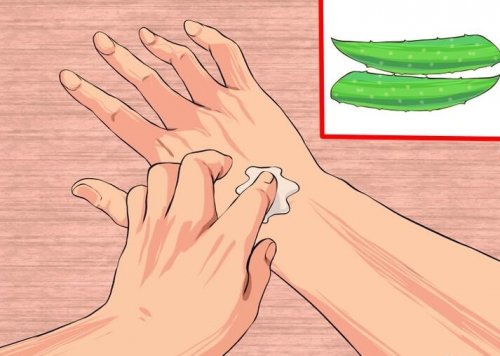 Antibióticos naturales: las plantas a favor de la salud
