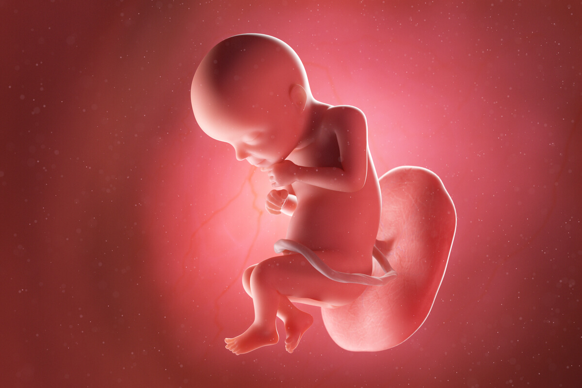 El embarazo de 28 semanas: síntomas, desarrollo del bebé y recomendaciones