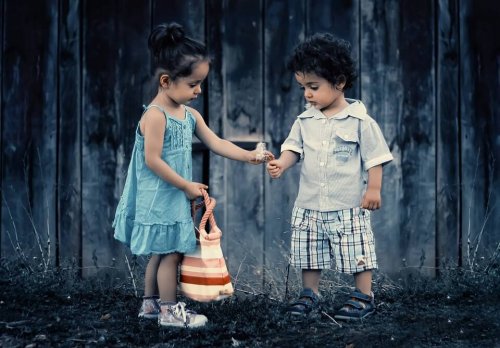 diversidad