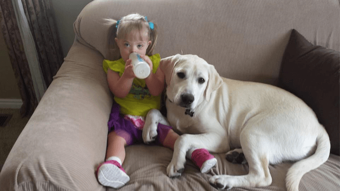 La historia de Sadie, la niña con síndrome de Down y el perro que cuida de ella