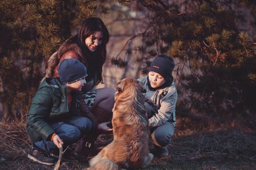Una madre trendy jugando con sus hijos y un perro