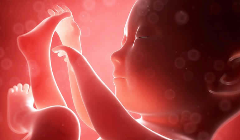 ¿Sabes qué siente el bebé en el vientre de la madre?