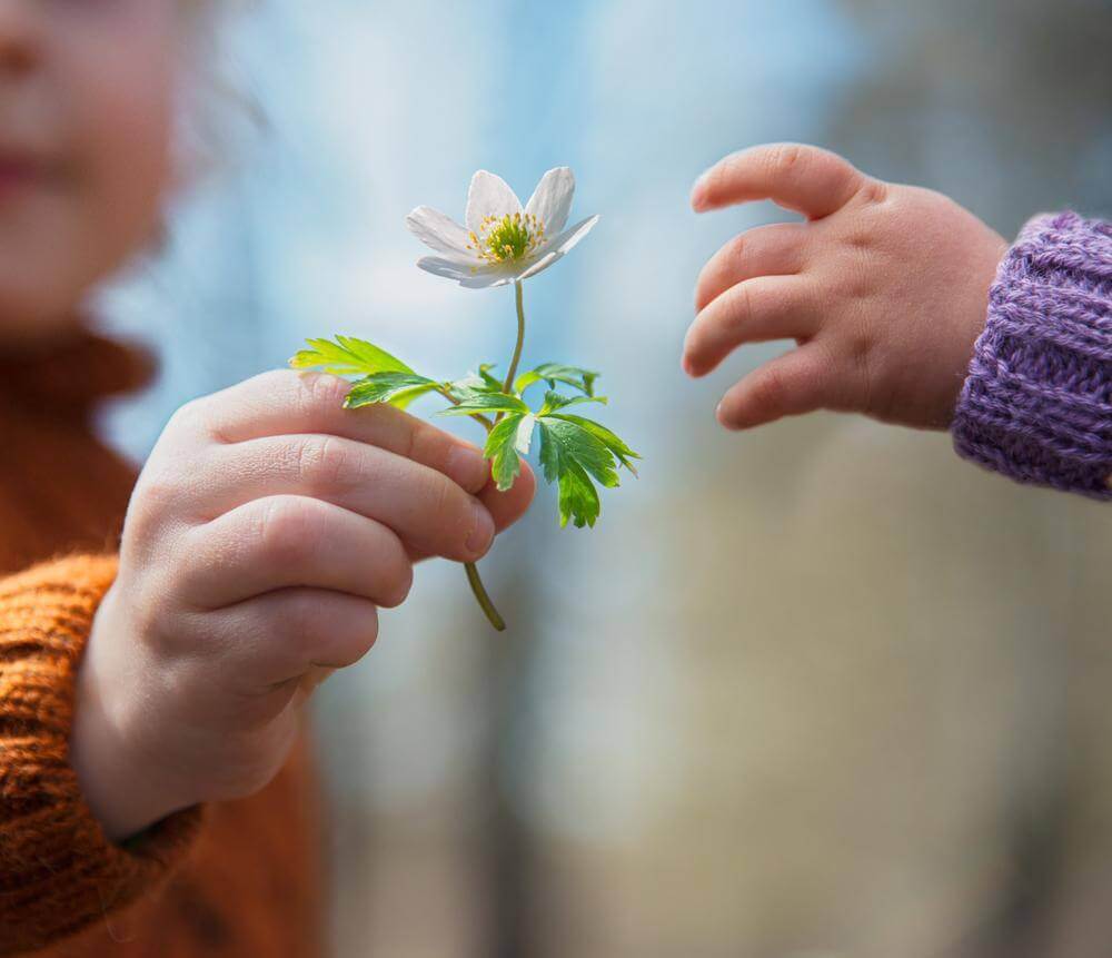 El valor de la honestidad debe cultivarse desde la niñez.