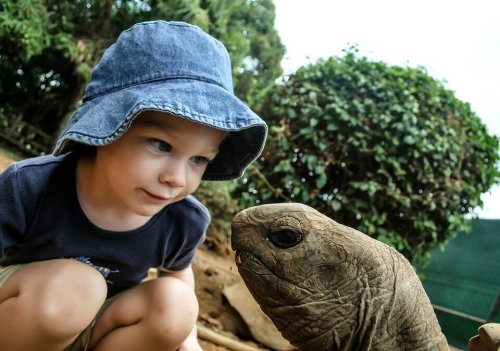 Cómo elegir el mejor campamento de verano