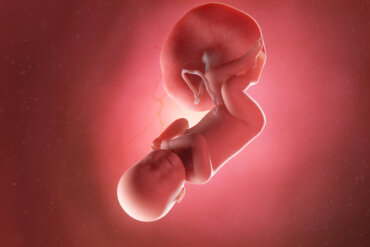 Semana 40 del embarazo: síntomas, desarrollo del bebé y recomendaciones