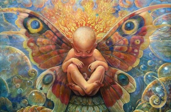 bebé pequeño con alas que representa el arte de apapachar el alma de los niños
