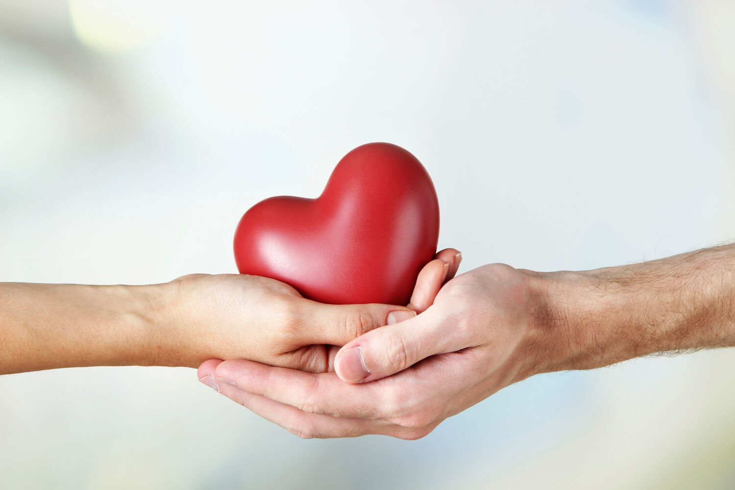 Donar órganos es sembrar esperanza de vida en muchas familias
