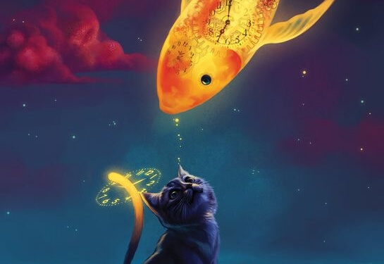 gato mirando un pez