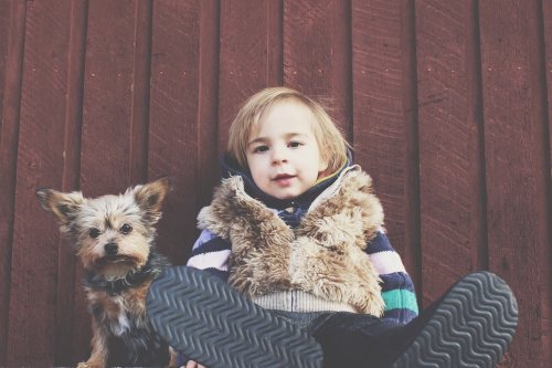 Las 5 mejores mascotas para los niños