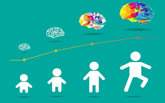 desarrollo cerebral de los niños