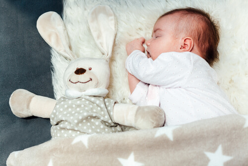Ejemplo del peluche ideal.