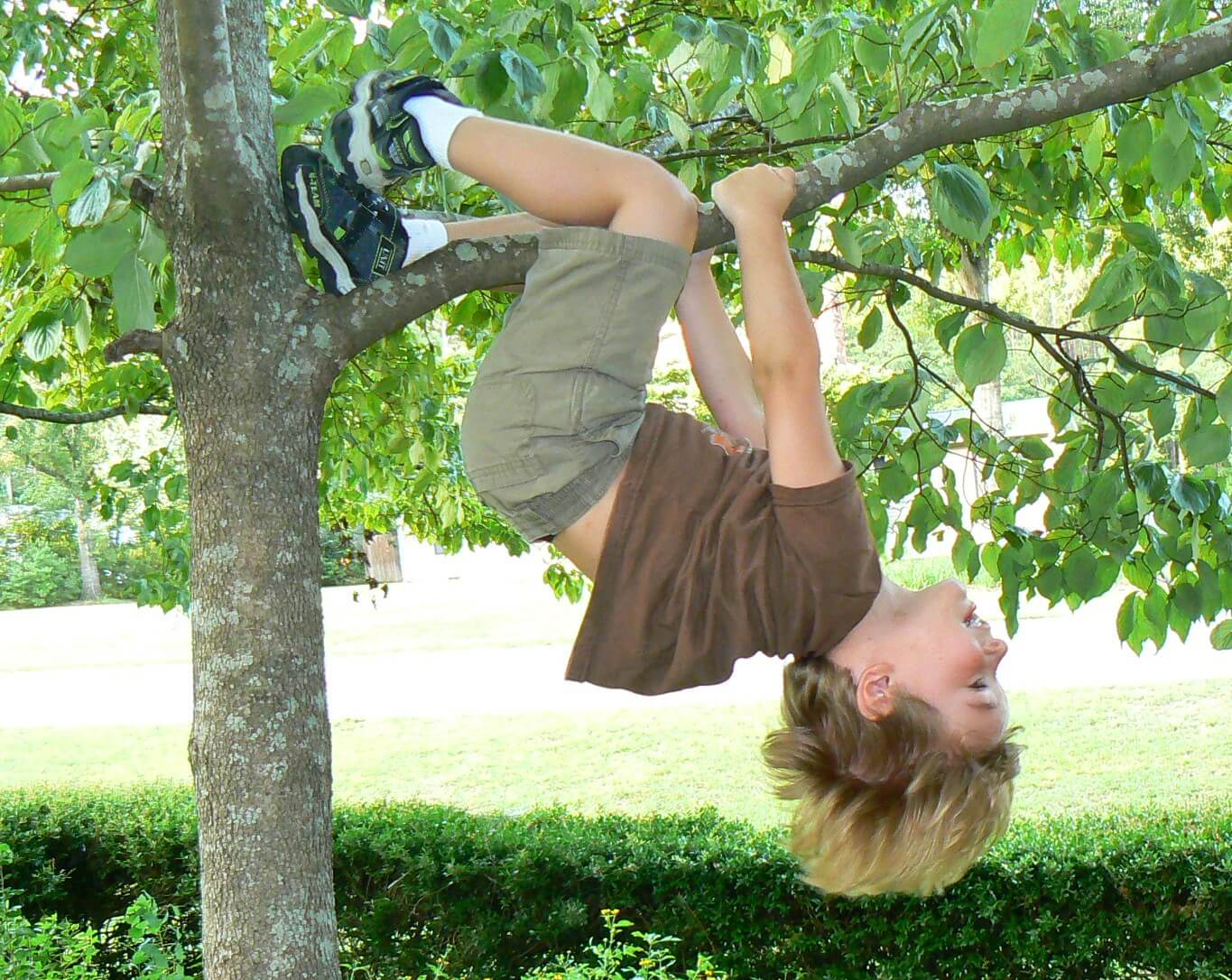 Nino subido a un arbol