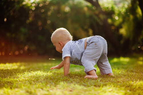 bébé joue dans l'herbe