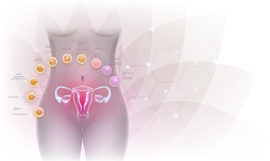 5 preguntas y respuestas sobre la ovulación
